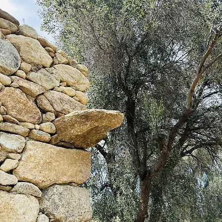 La Casa D'ange Bergerie De Luxe Piscine Chauffee Lama