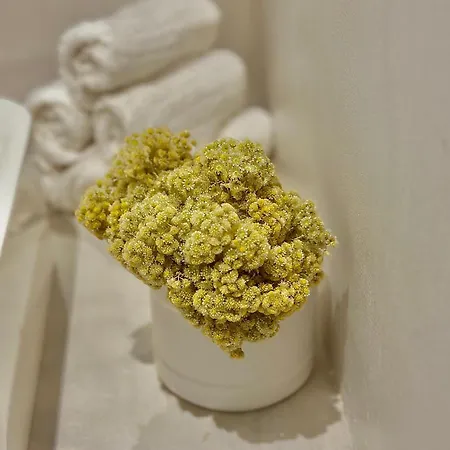 La Casa D'ange Bergerie 5 Etoiles De Luxe Piscine Chauffee *