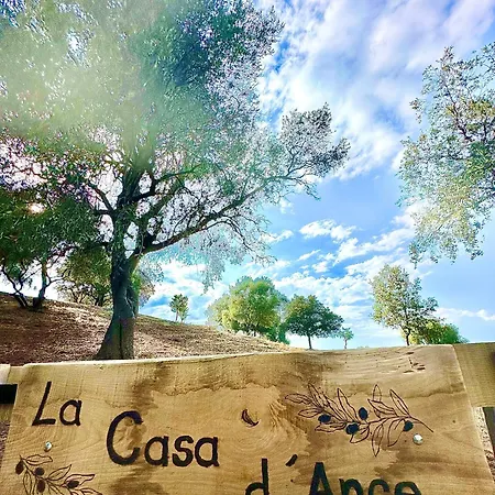 Villa La Casa D'ange Bergerie 5 Etoiles De Luxe Piscine Chauffee Lama