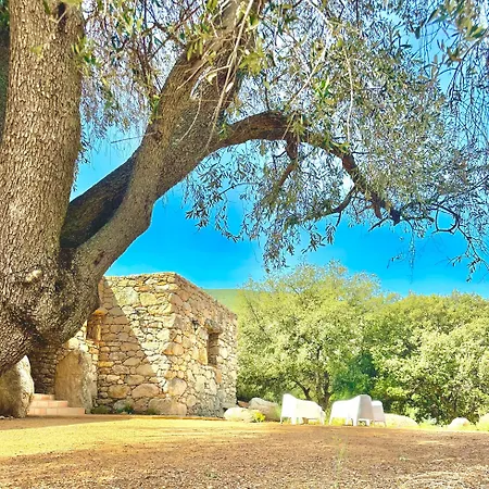 Villa La Casa D'ange Bergerie 5 Etoiles De Luxe Piscine Chauffee *
