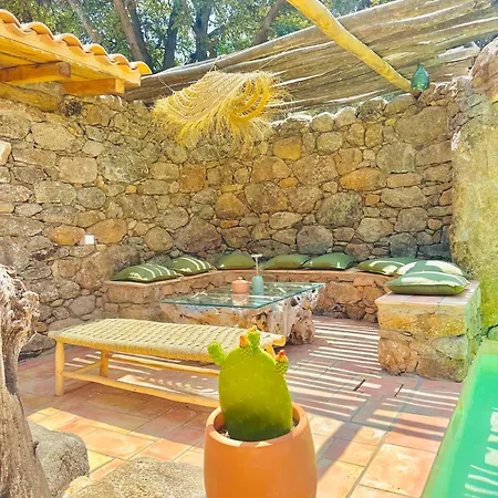La Casa D'ange Bergerie De Luxe Piscine Chauffee * Lama