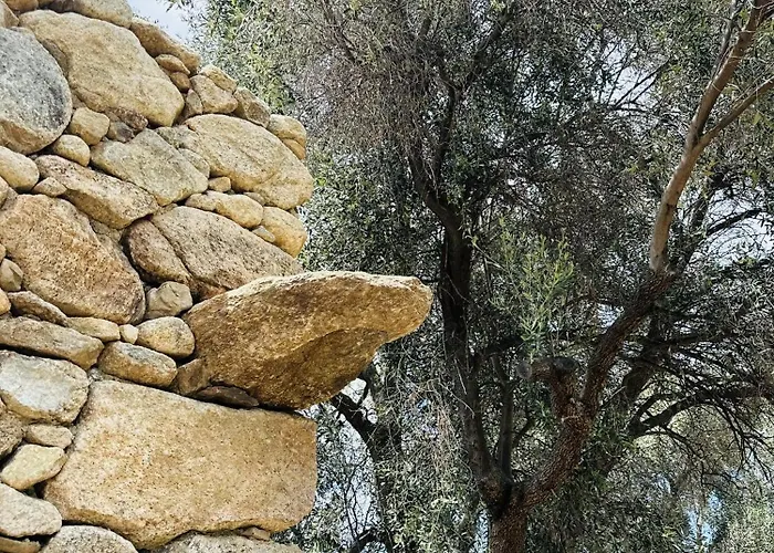 La Casa D'ange Bergerie 5 Etoiles De Luxe Piscine Chauffee Lama