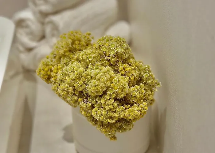 La Casa D'ange Bergerie 5 Etoiles De Luxe Piscine Chauffee *