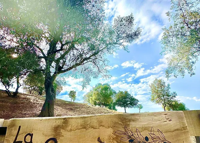 Villa La Casa D'ange Bergerie 5 étoiles De Luxe Piscine Chauffée Lama